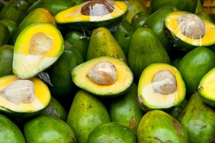 Conheça os principais benefícios do abacate para a sua saúde - Foto Canva