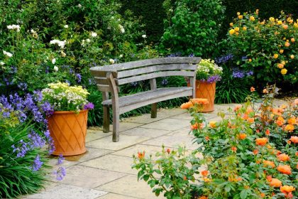Paisagismo de verão: conheça as flores mais bonitas para ornamentar o seu jardim - Imagem do Canva