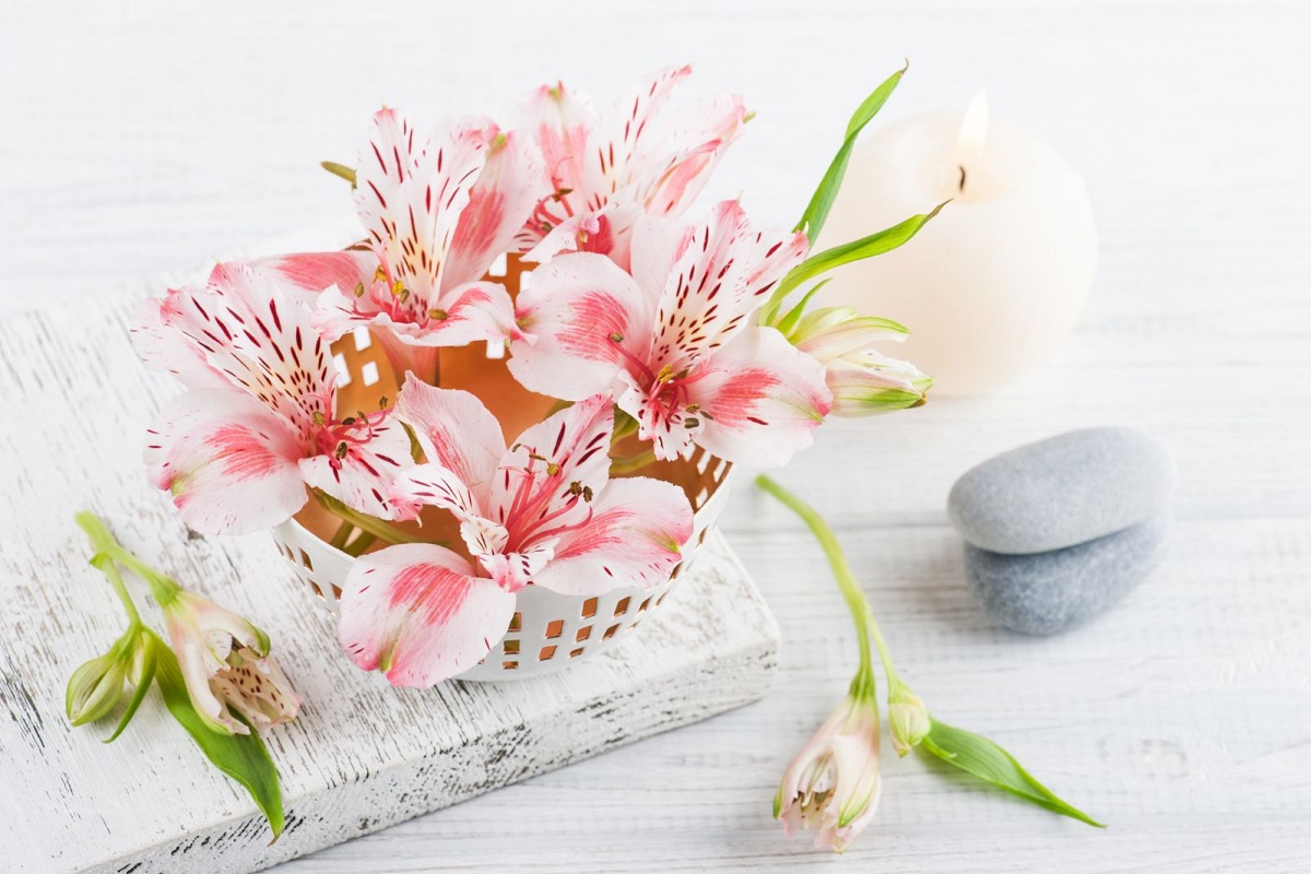 Flores românticas: astromélias - Imagem do Canva