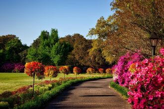Flores para paisagismo ornamental: conheça as que não podem faltar no seu jardim; confira - Imagem do Canva