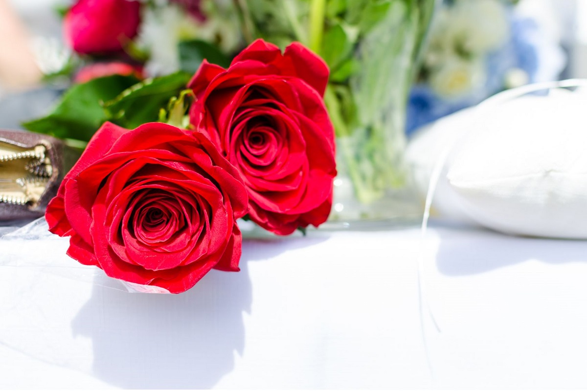 Flores românticas: rosas vermelhas - Imagem do Canva
