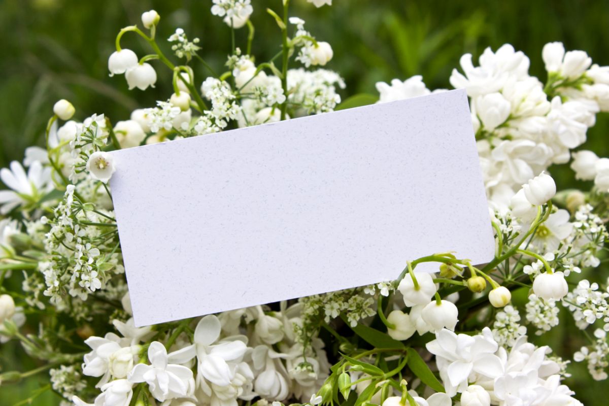 Flor-de-maio pode compor o paisagismo de casa em qualquer época; veja a melhor forma. Foto: Canva