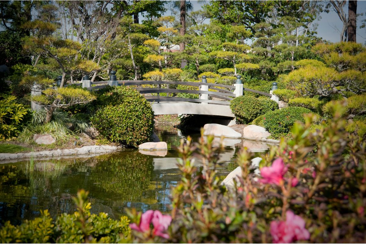 Jardim japonês: conheça as melhores flores para fazer o paisagismo em casa. Foto: Canva