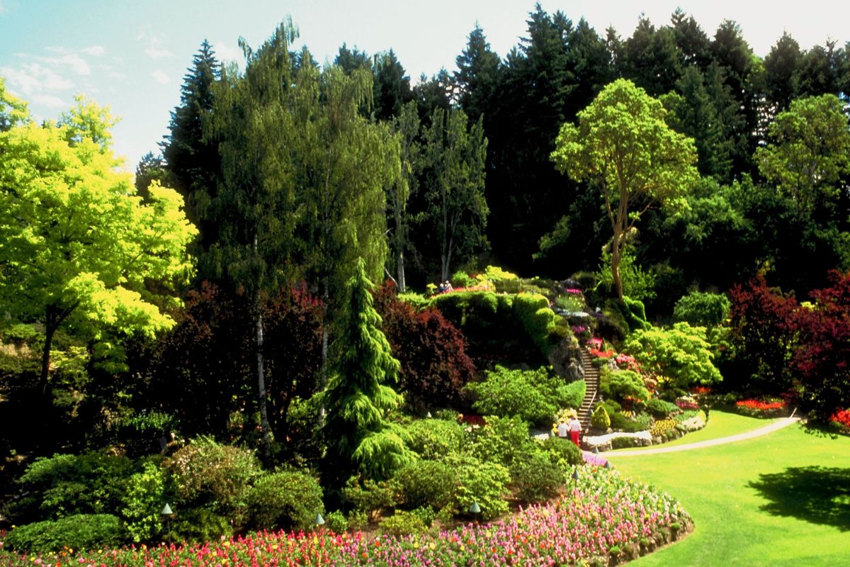 Paisagismos - Reprodução Canva