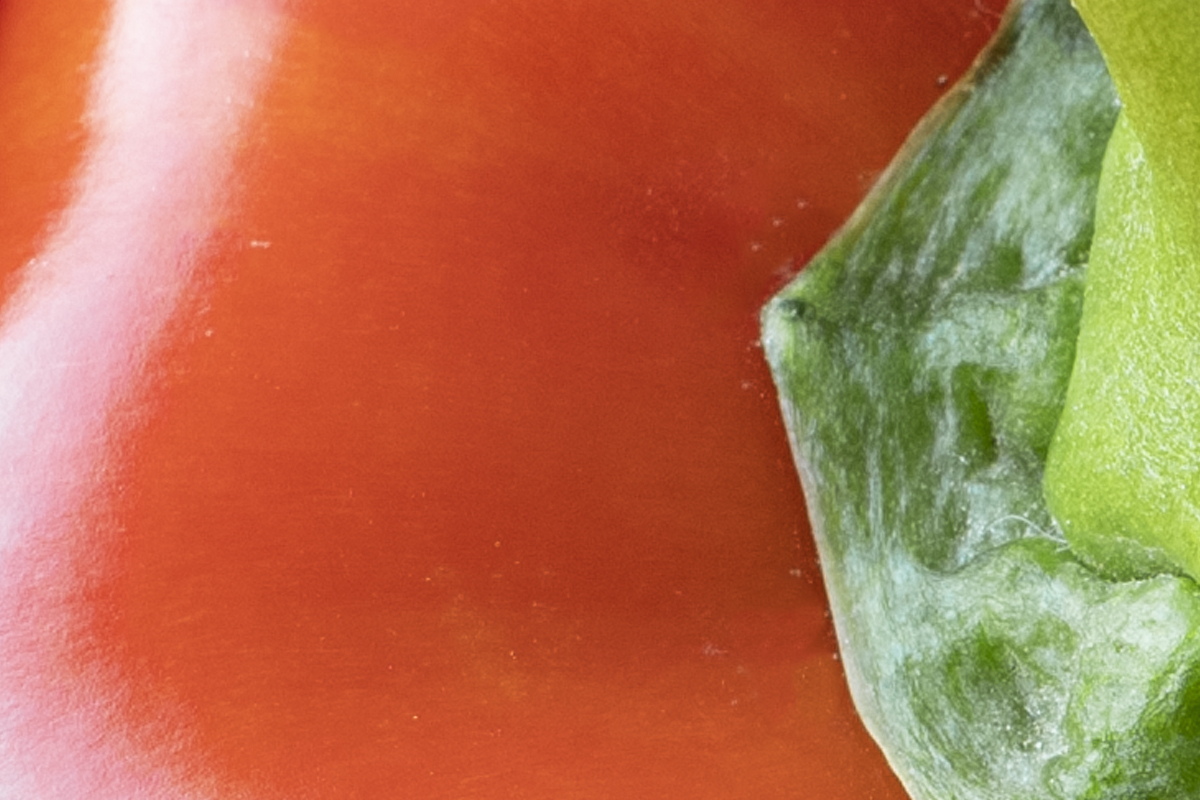 Como plantar semente de pimentão? Dicas para cultivar o legume e ter um paisagismo maravilhoso - Canva