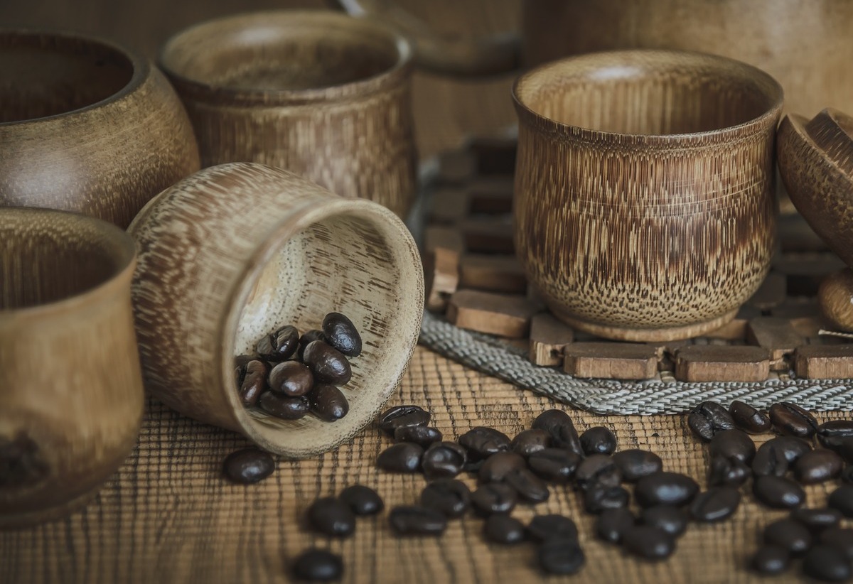 Como plantar feijão no algodão? Um dos legumes mais fáceis de cultivar! - Canva