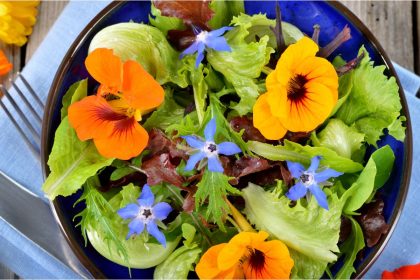 Flores comestíveis e legumes que vão tornar sua mesa um verdadeiro paisagismo; confira já - Reprodução Canva