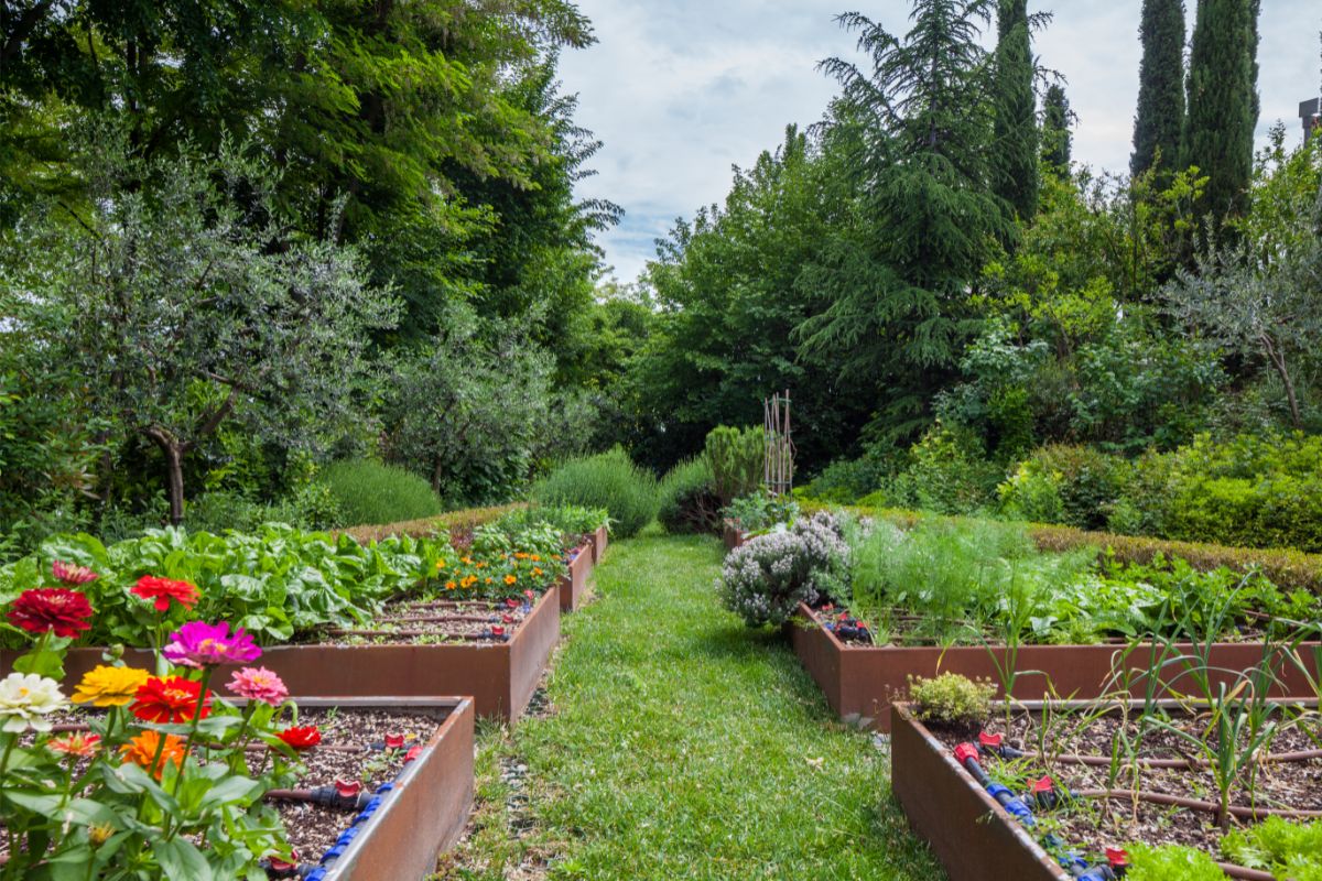Como usar uma horta de legumes e um jardim de flores a favor do paisagismo no quintal - Reprodução Canva