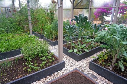 Como usar uma horta de legumes e um jardim de flores a favor do paisagismo no quintal - Reprodução Canva