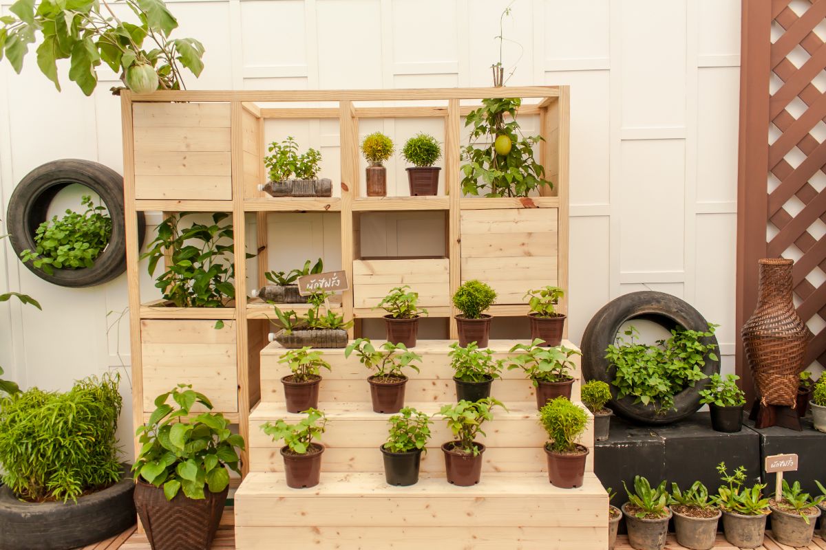 3 ideias de jardim de legumes que são muito úteis em um projeto de paisagismo - Reprodução Canva