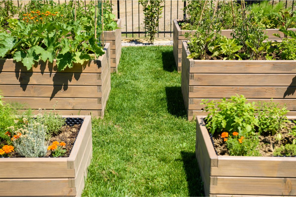3 ideias de jardim de legumes que são muito úteis em um projeto de paisagismo - Reprodução Canva