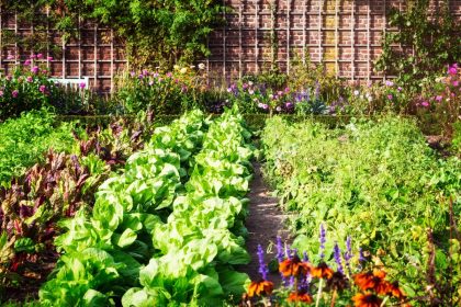 3 ideias de jardim de legumes que são muito úteis em um projeto de paisagismo - Reprodução Canva