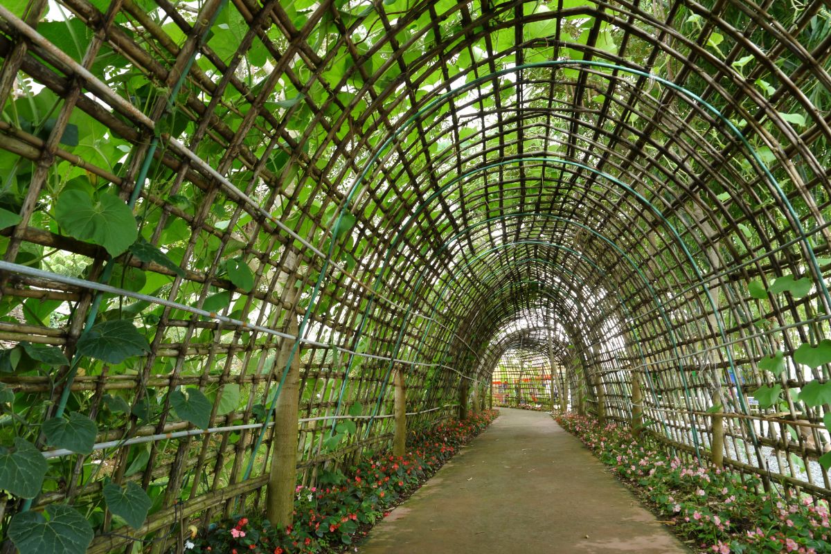 3 ideias de jardim de legumes que são muito úteis em um projeto de paisagismo - Reprodução Canva