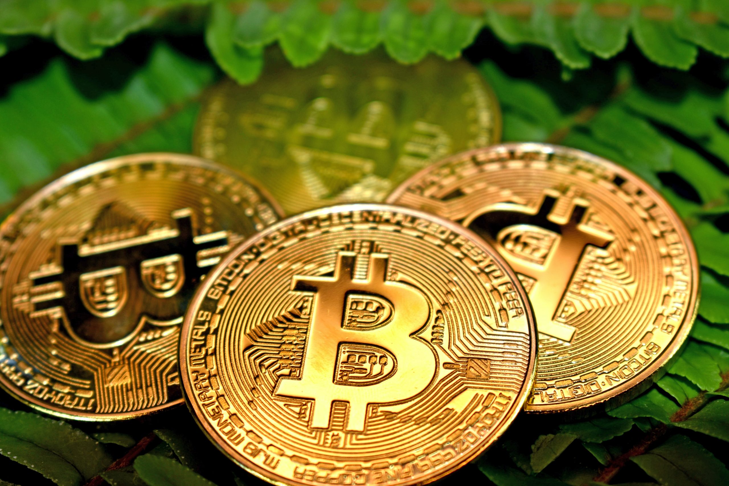 Maior parte dos investidores de Bitcoin compraram a moeda em 2021