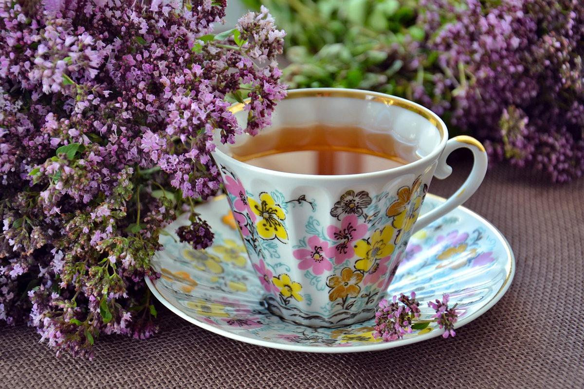 Como fazer chá de eucalipto fácil? Conheça os benefícios desse chá e aprenda a fazer em casa
