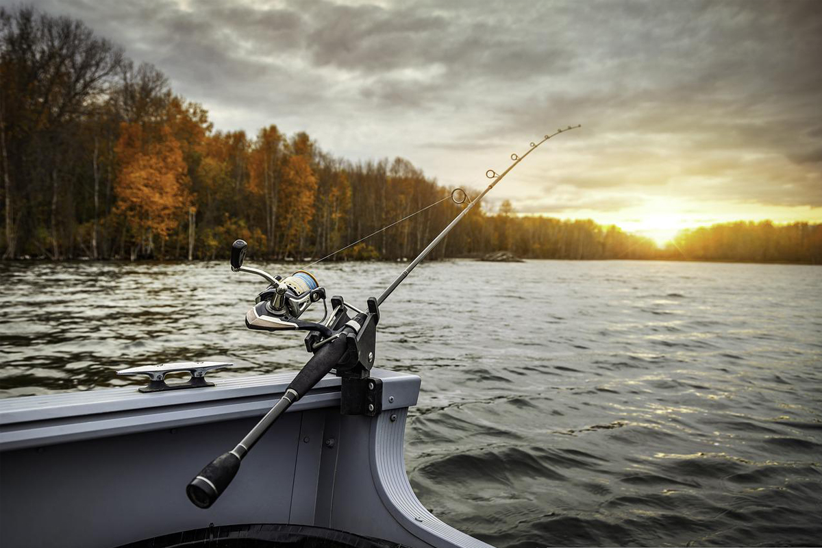 Como fazer para pescar mais peixes na pesca esportiva? Venha conferir 5 dicas importantes e práticas