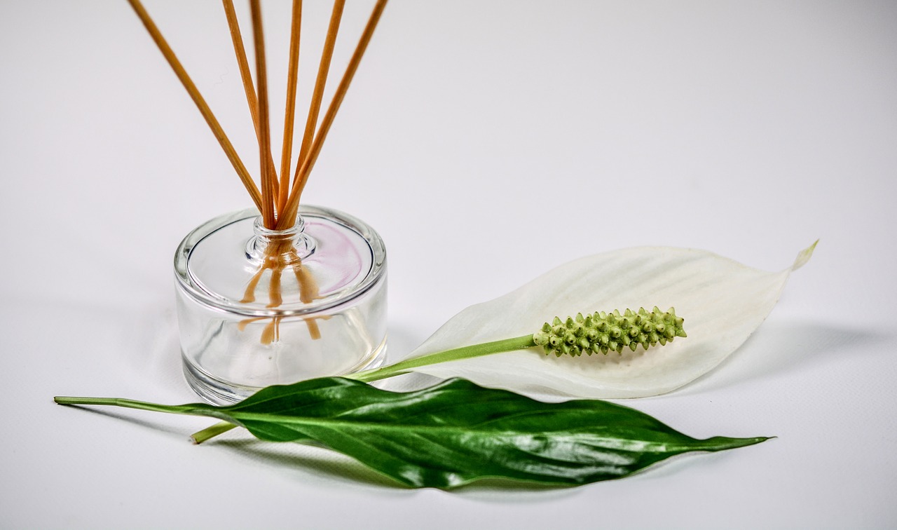 Casa cheirosa 6 ideias para deixar sua casa com um cheiro gostoso e duradouro reprodução pixabay
