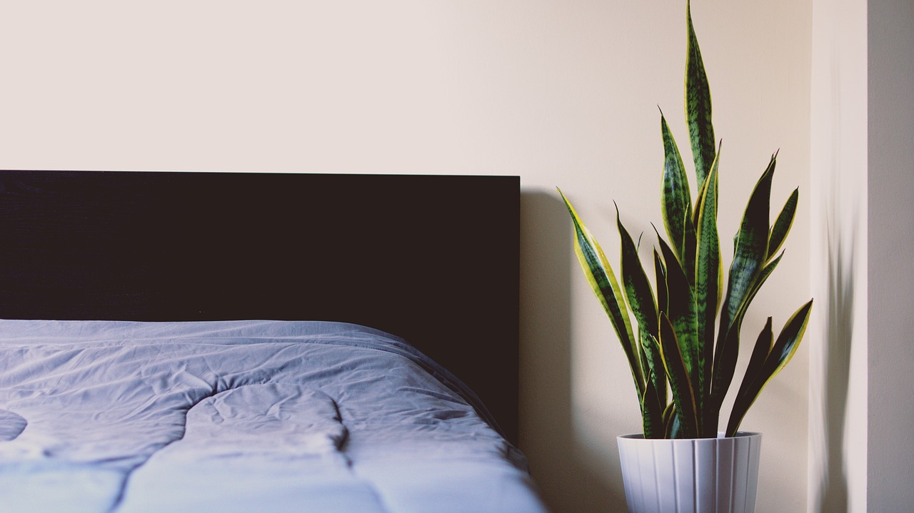 Refresque o seu quarto durante os períodos de calor com estas dicas imperdíveis - Reprodução Pixabay