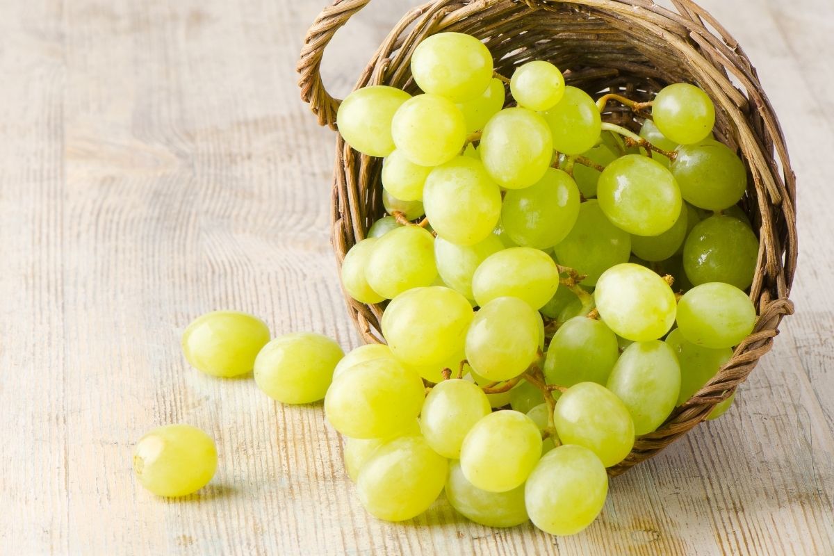 benefícios da uva verde -reprodução do canva