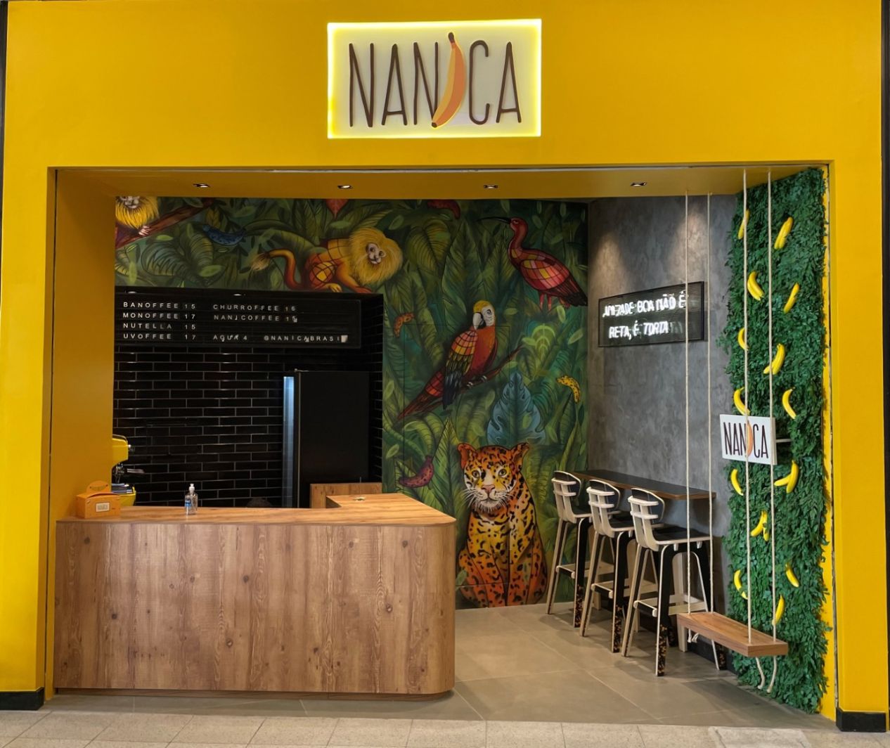 franquia nanica brasil