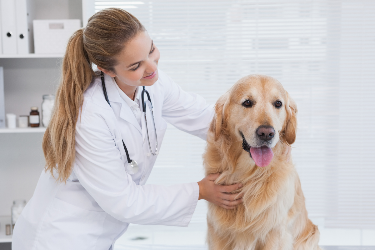 Profissão que não trabalha com o público