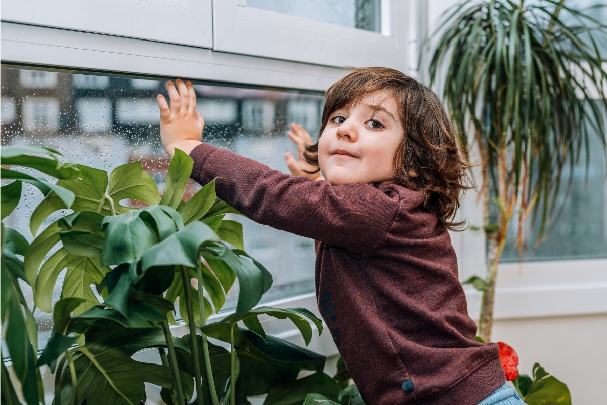5 cuidados especiais com plantas quando se tem crianças pequenas em casa; confira