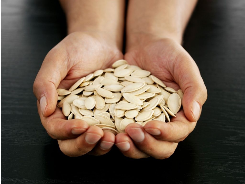 Como secar e torrar sementes de abóbora para consumir como petisco: veja agora