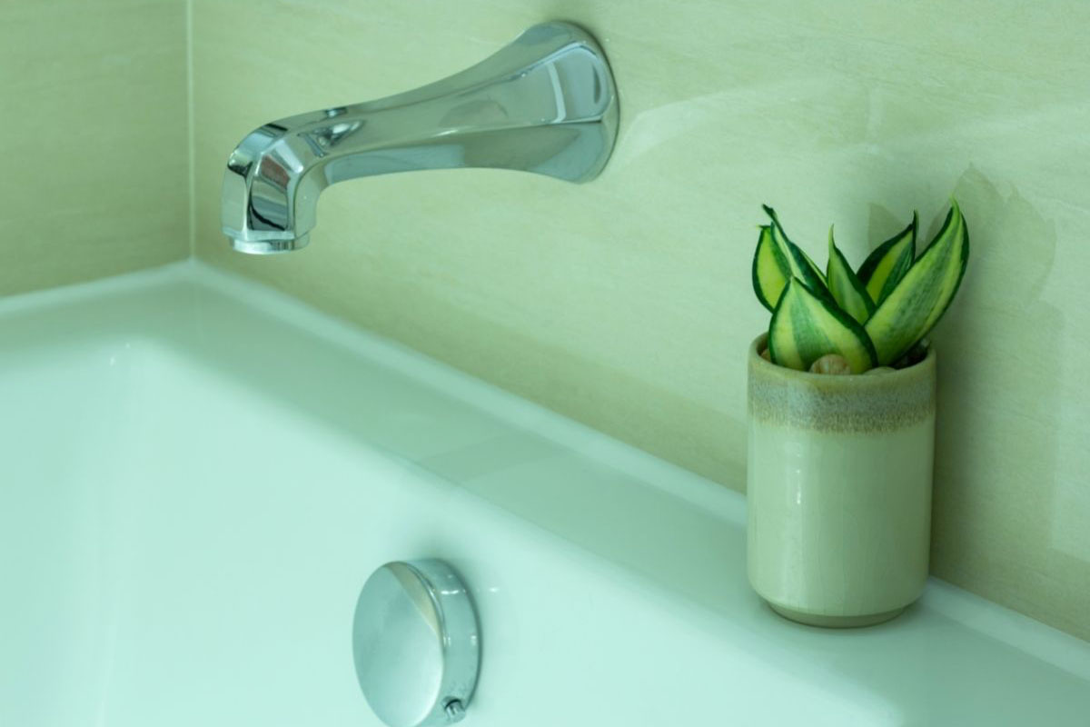 5 plantas perfeitas para decorar o banheiro - Reprodução Canva Pró