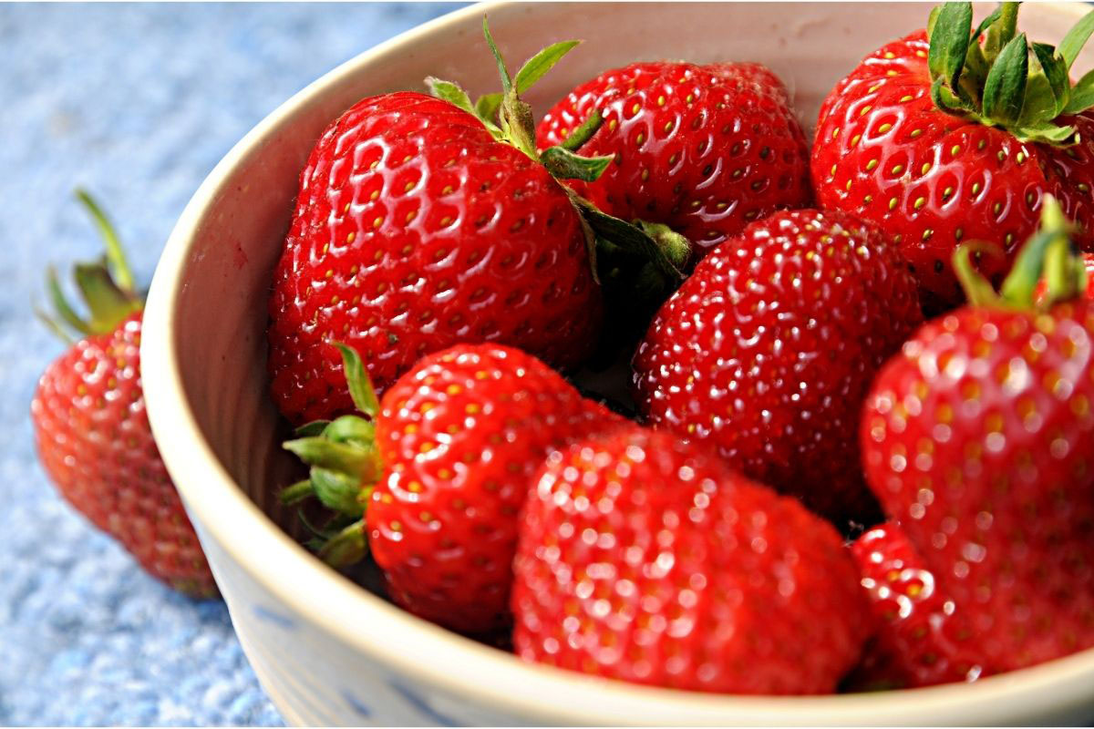 Como cultivar morangos orgânicos - Reprodução Canva Pró