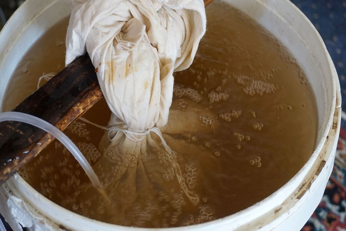 Como fazer adubo orgânico líquido - Reprodução Canva Pró