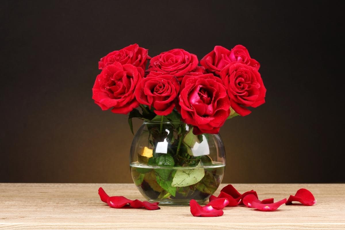 Como fazer rosas durarem mais depois de colhidas