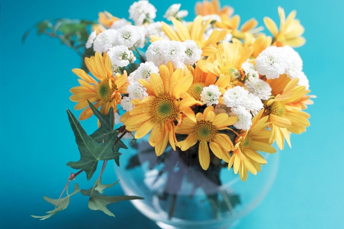 Como fazer um arranjo de flores naturais para decorar a casa? Veja dicas para se inspirar