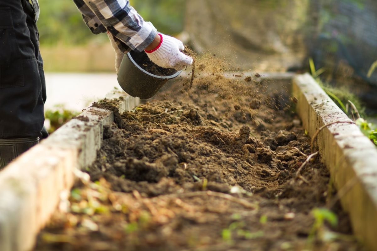 Como Adubar A Terra Para Horta Conhe A Dicas E Aprenda T Cnicas Para Que Suas Plantas Cres Am