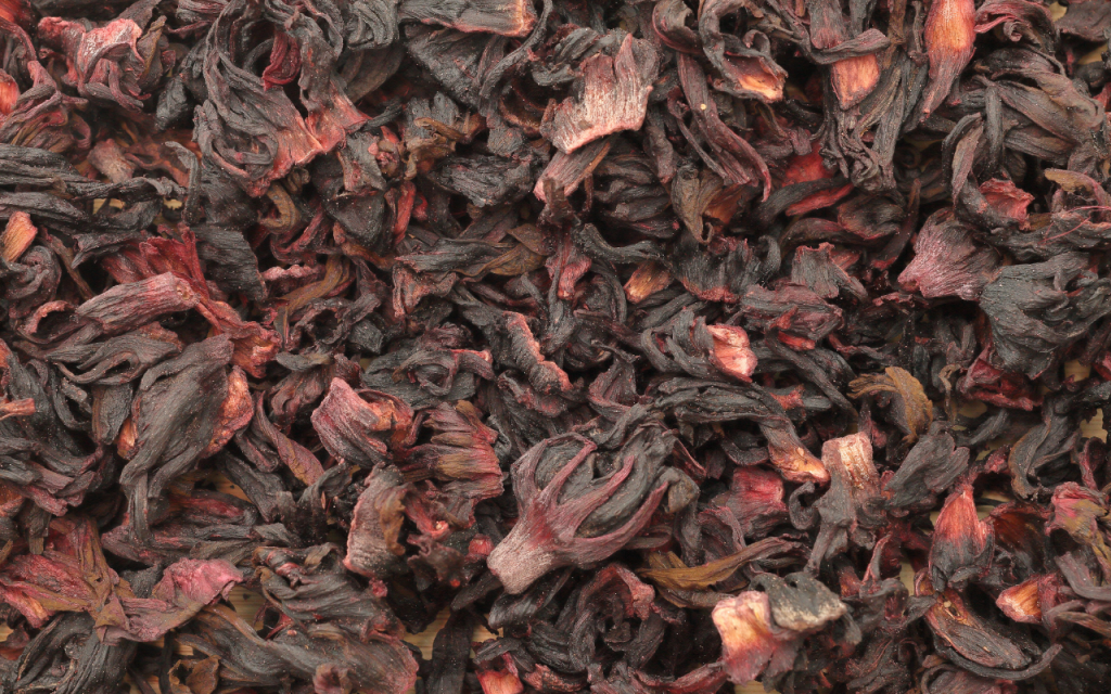 Como cultivar hibisco.