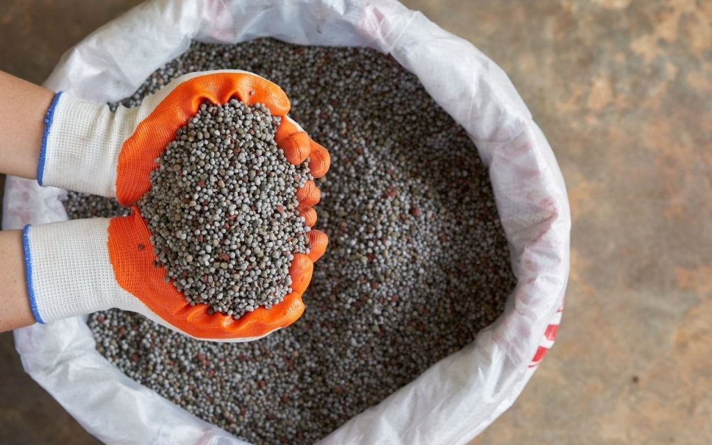 Como fazer um adubo para floreiras. Foto: Canva Pro.