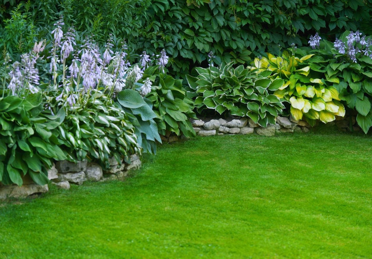 Como evitar buracos na grama: confira dicas importantes