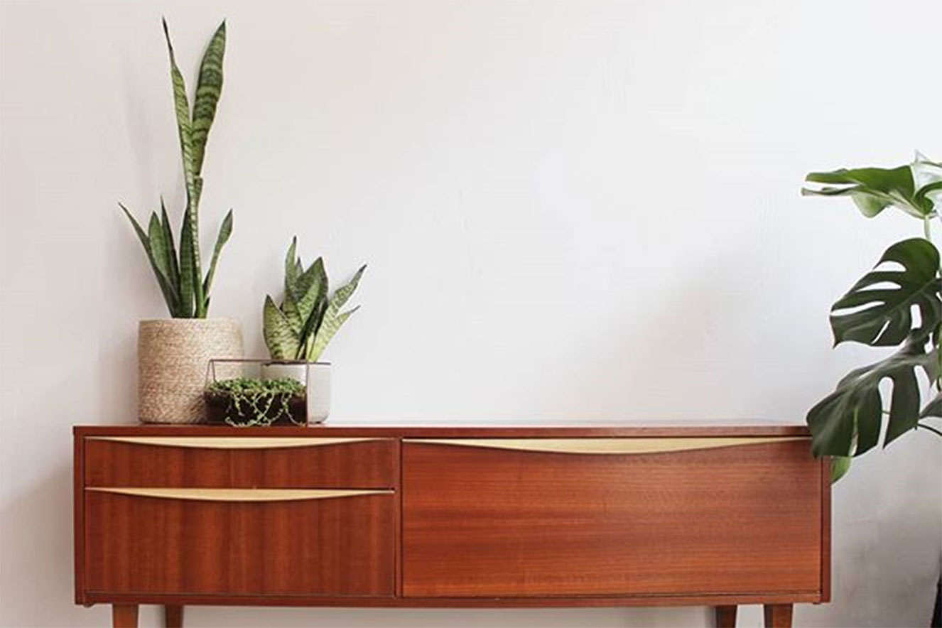 Paisagismo de interiores: plantas perfeitas para ficar no quarto; confira os melhores tipos