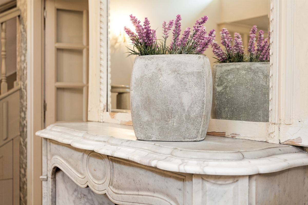 Como cultivar lavanda no vaso - Reprodução Canva Pró
