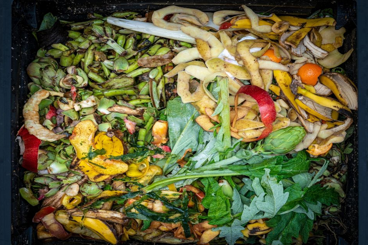 Como fazer adubo líquido para flores - Reprodução Canva Pró