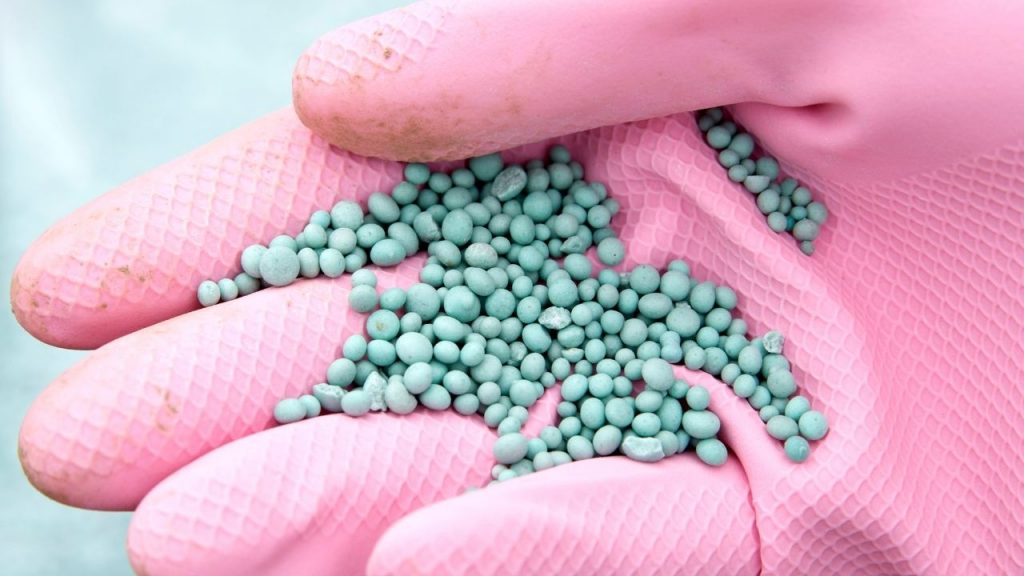 Como fazer adubo para orquídeas