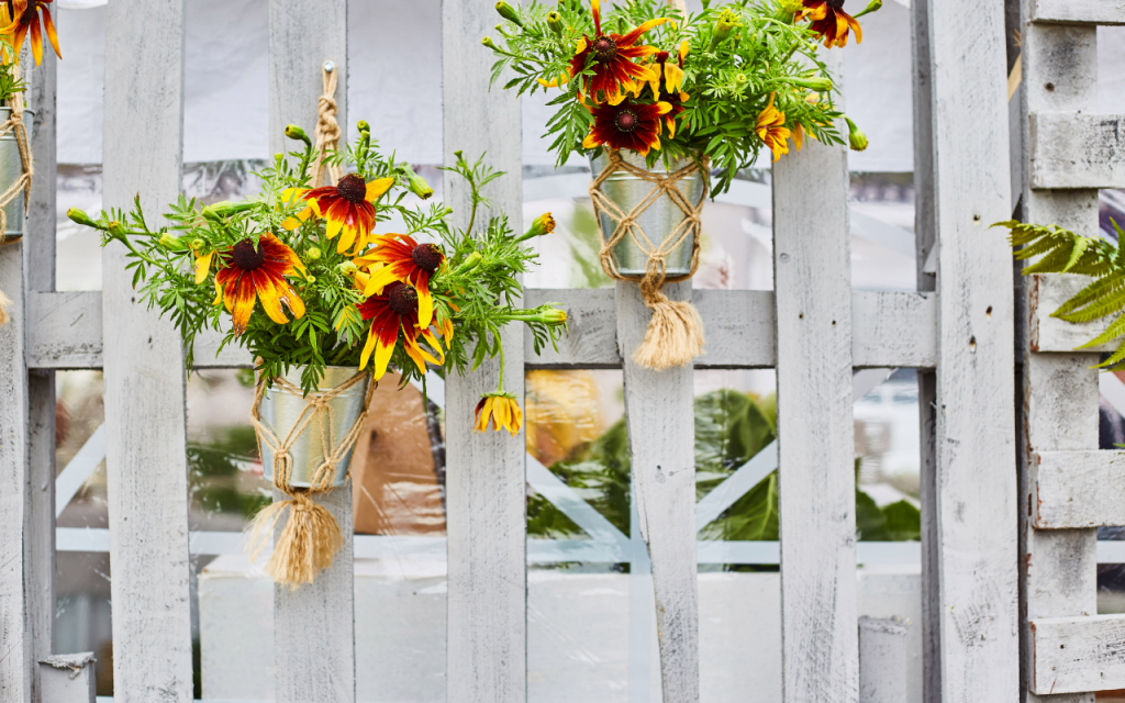 Como cultivar girassol. Foto: Canva Pro.