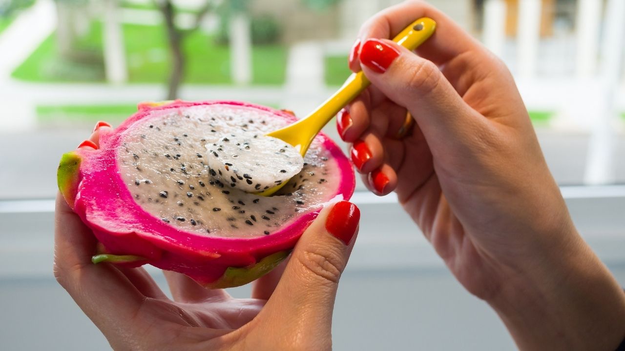 Como cultivar pitaya orgânica no vaso e ter uma planta saudável para consumo?