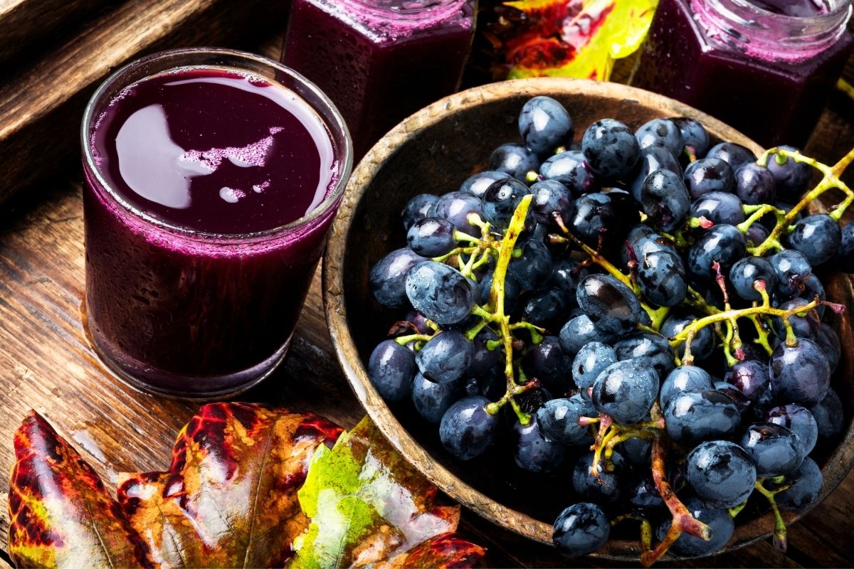 Como fazer suco de uva concentrado caseiro. Veja dicas fáceis de preparar