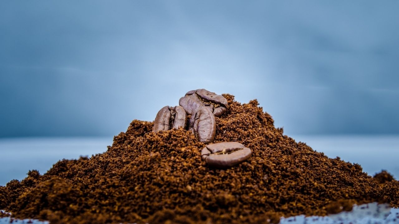 Como fazer um adubo orgânico para hortas em geral: aprenda aqui.