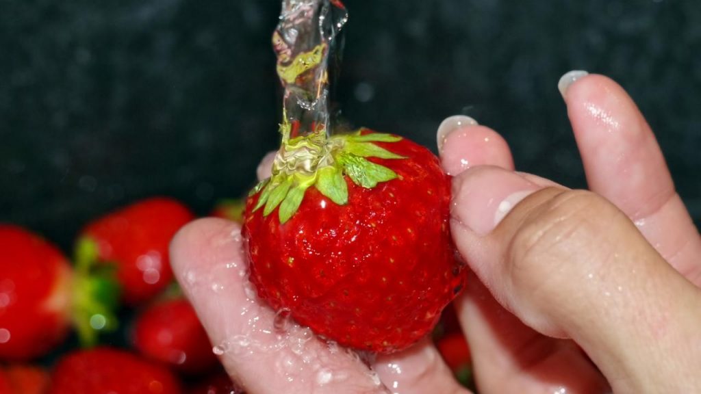 Como manter o morango sempre fresco na geladeira, Foto: Canva Pro.