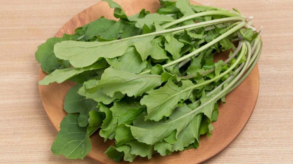 O que plantar para colher rápido. Foto: Canva Pro.