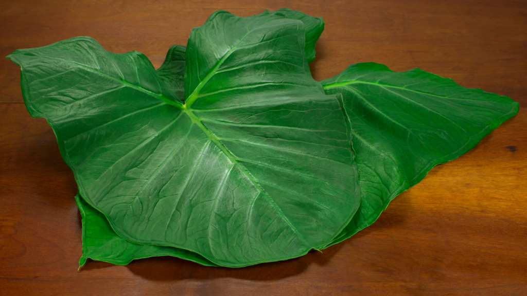 Qual a diferença de inhame e taioba.