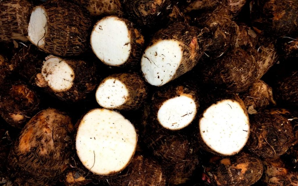 Como escolher inhame. Foto: Canva Pro.