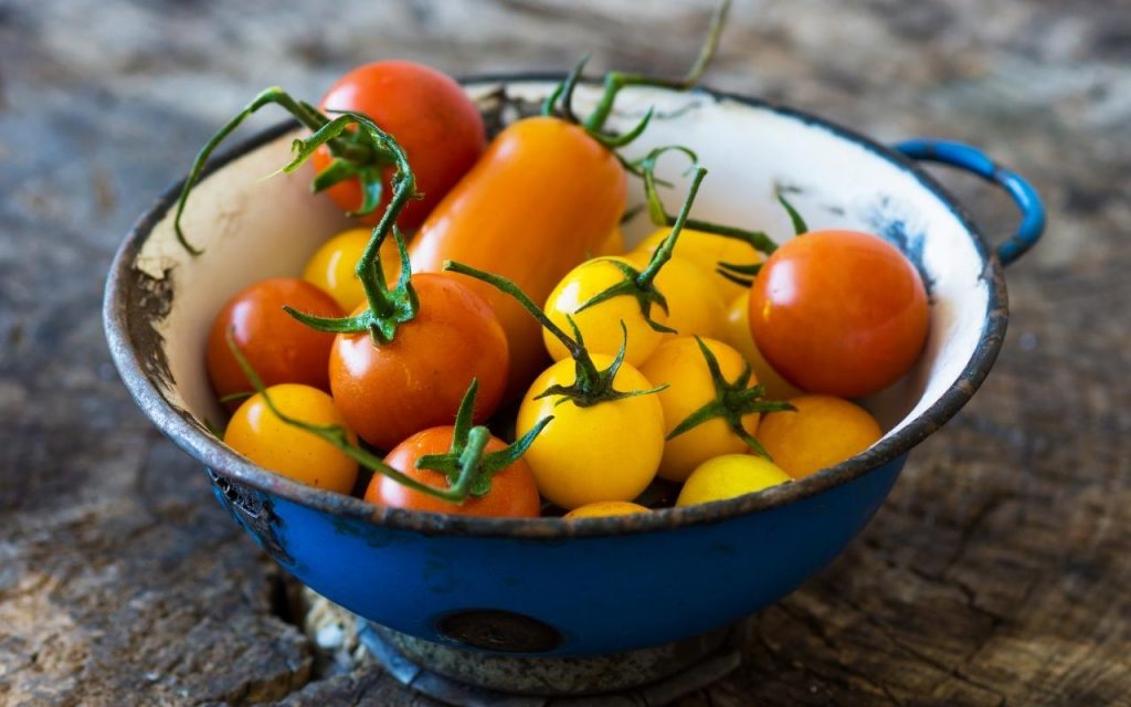 Cultivar seus próprios tomates, Foto: Canva Pro.