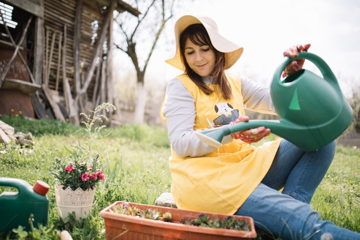 7 erros que matam suas plantas - Reprodução Canva Pró